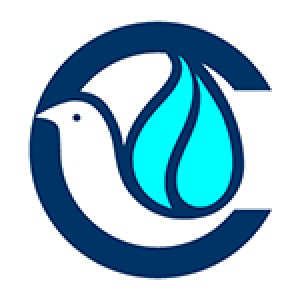 Imagen de Equipo Catholizare