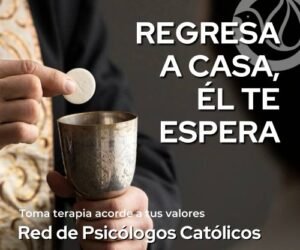 Publicidad 25